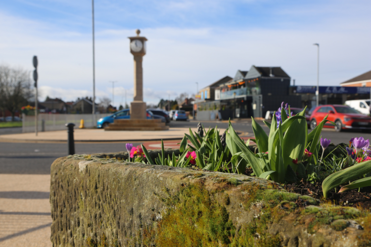 Stone planter with colourful flowers