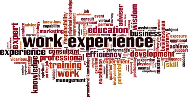 Work experience wrote in block capitals with key skills outlines around it